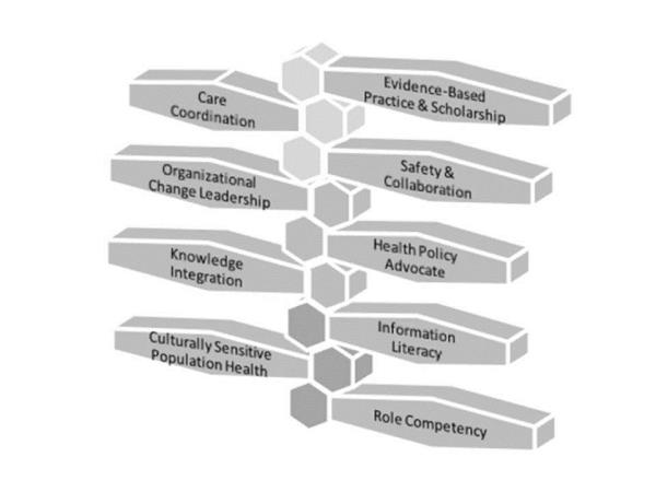 MSN Framework